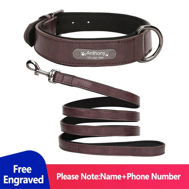 Personalized Dog Collar for Large Dogs Tag