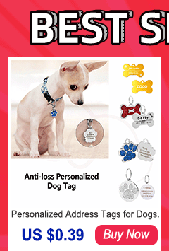 Personalized Dog Collar for Large Dogs Tag