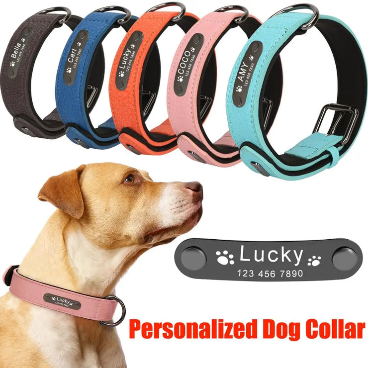 Personalized Dog Collar Leather Pet