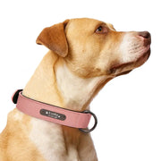 Personalized Dog Collar Leather Pet