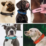 Personalized Dog Collar Leather Pet