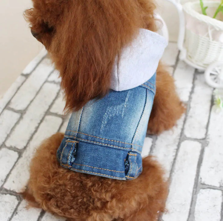 New Product 2020 Pet Hoodie Jacket For Dog gadget