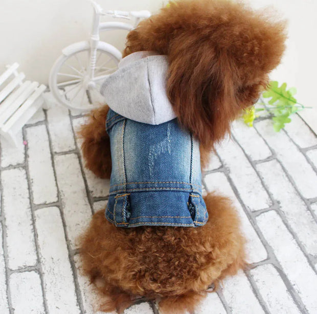 New Product 2020 Pet Hoodie Jacket For Dog gadget