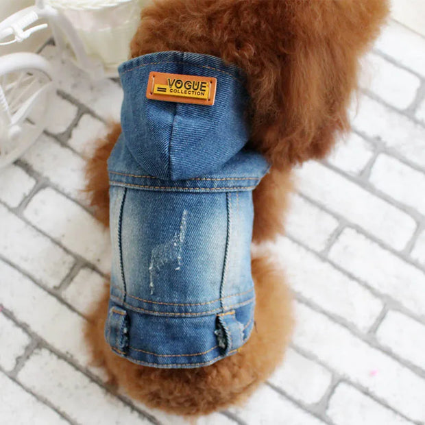 New Product 2020 Pet Hoodie Jacket For Dog gadget