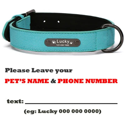 Personalized Dog Collar Leather Pet