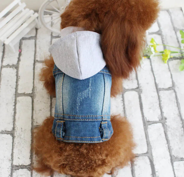 New Product 2020 Pet Hoodie Jacket For Dog gadget