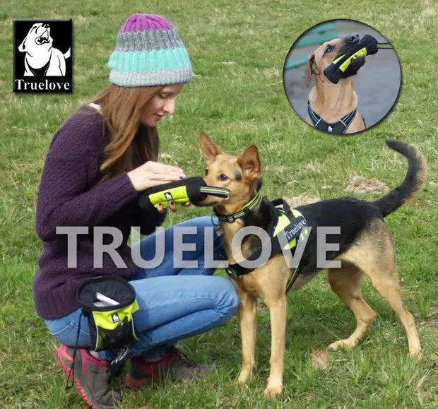 Truelove Feed Dummy Dog Pet Treat Bag Reflective Dog wellness