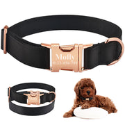 Fashion Boy Girl Dogs Unisex Dog Collar