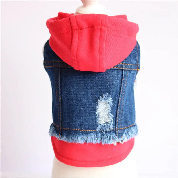 New Product 2020 Pet Hoodie Jacket For Dog gadget