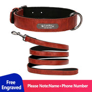 Personalized Dog Collar for Large Dogs Tag