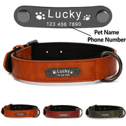 Personalized Dog Collar for Large Dogs Tag