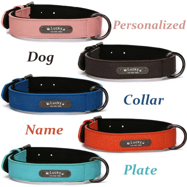 Personalized Dog Collar Leather Pet