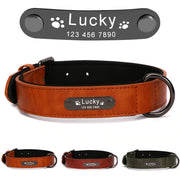 Personalized Dog Collar for Large Dogs Tag