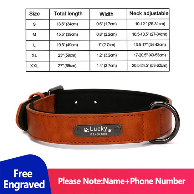 Personalized Dog Collar for Large Dogs Tag