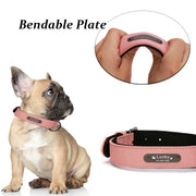 Personalized Dog Collar Leather Pet