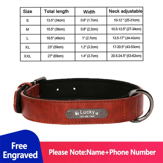 Personalized Dog Collar for Large Dogs Tag