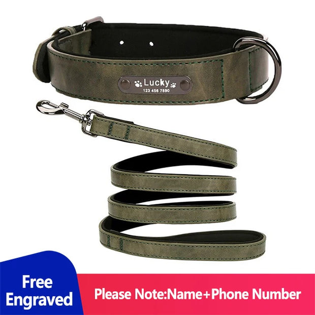 Personalized Dog Collar for Large Dogs Tag