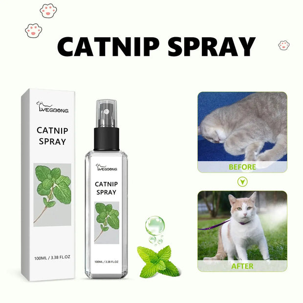 Cats Catnip Spray Relieve Stress Dogs wellness