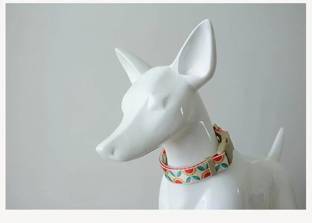 PLATTCO Nylon Printed Dog Collar