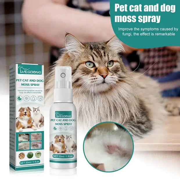 Cat wellness and Dog Skin Problems Pet Moss Spray