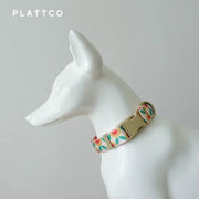 PLATTCO Nylon Printed Dog Collar