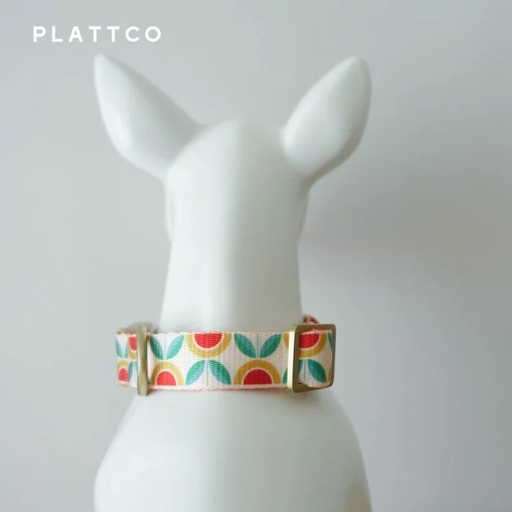 PLATTCO Nylon Printed Dog Collar