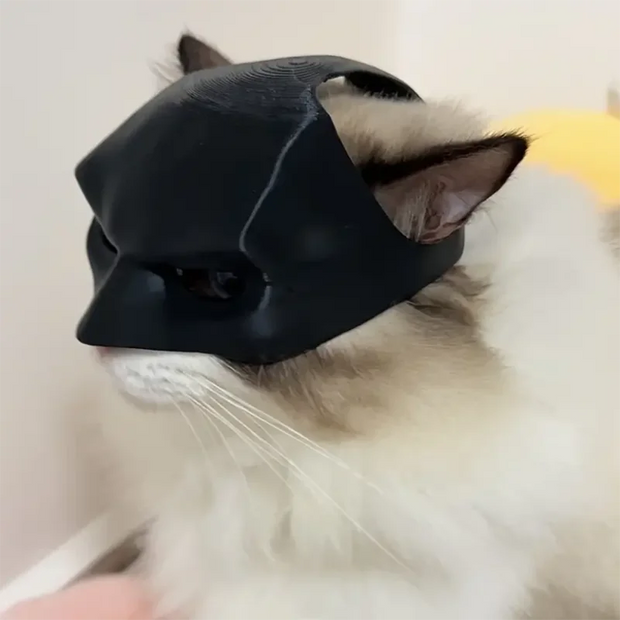 1 Pcs Cat Toys Bat Cat Avenger Mask Cat Mask Pet Toys  gadget