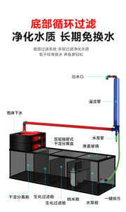 Modern Cultivation Clear Glass Marine Luxury