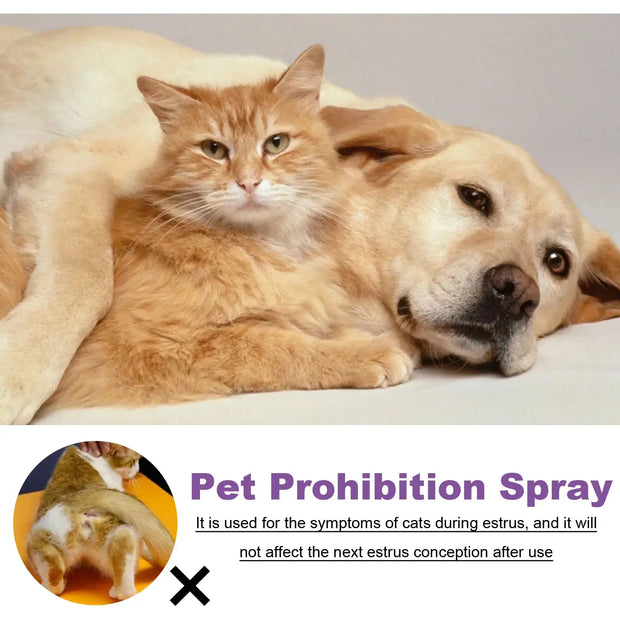 Pet Calming Spray Soothe Mood Puppy Dog wellness