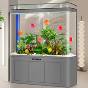 Modern Cultivation Clear Glass Marine Luxury