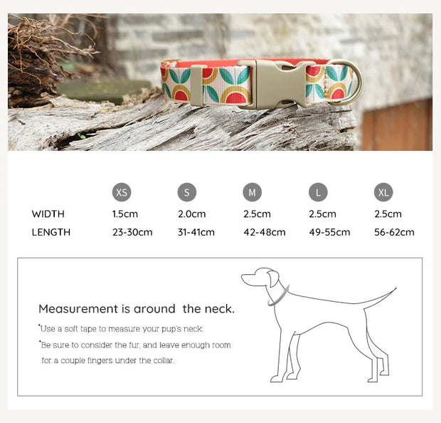 PLATTCO Nylon Printed Dog Collar