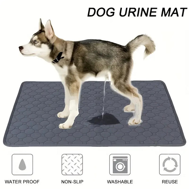 Washable Dog Pet Diaper Mat Urine Absorbent gadget