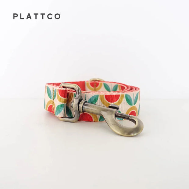 PLATTCO Nylon Printed Dog Collar