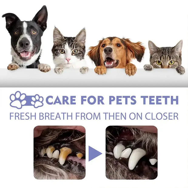 30ml Pet Oral Spray Dogs Teeth Cleaning wellness