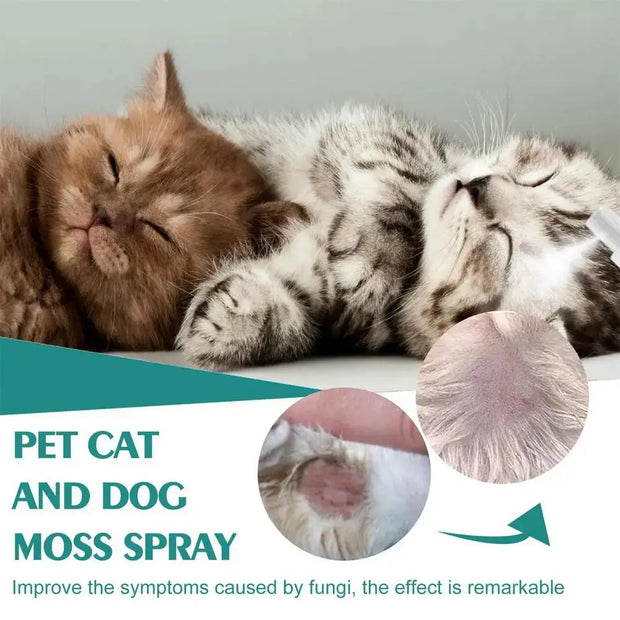 Cat wellness and Dog Skin Problems Pet Moss Spray