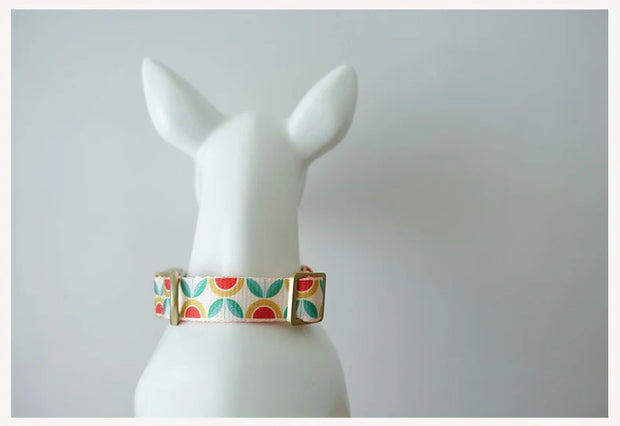 PLATTCO Nylon Printed Dog Collar