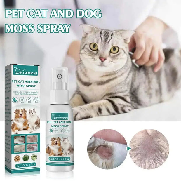 Cat wellness and Dog Skin Problems Pet Moss Spray