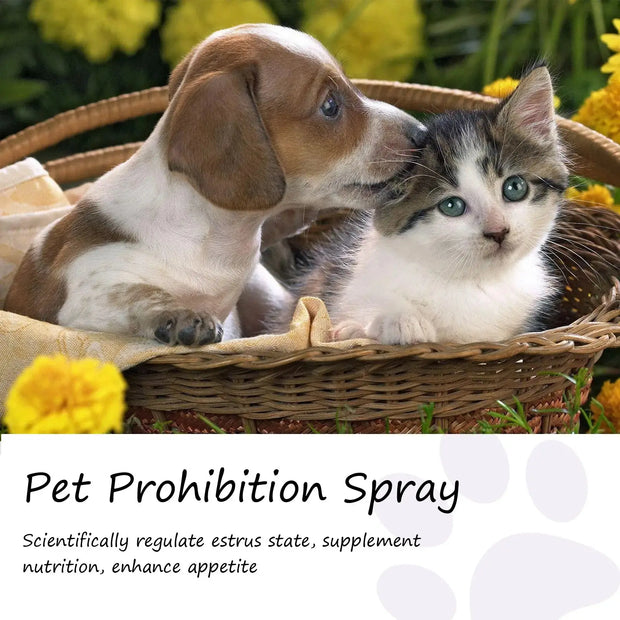 Pet Calming Spray Soothe Mood Puppy Dog wellness