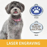 Pet ID Tags Free Engraving Pet