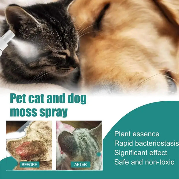 Cat wellness and Dog Skin Problems Pet Moss Spray