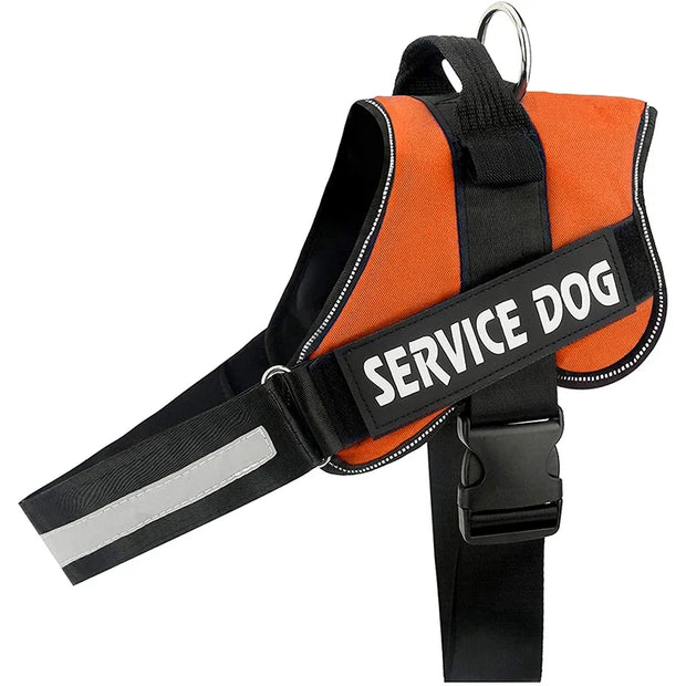 Personalized Dog Harness 3M Reflective