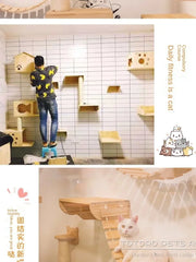 Wooden Cat Climbing Frame Luxury Wall Space Cat Wall