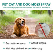 Cat wellness and Dog Skin Problems Pet Moss Spray