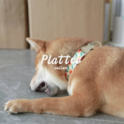 PLATTCO Nylon Printed Dog Collar