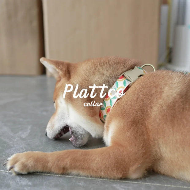 PLATTCO Nylon Printed Dog Collar