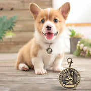 Personalized Pet Dog ID Tag Collar