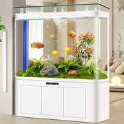 Modern Cultivation Clear Glass Marine Luxury