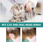 Cat wellness and Dog Skin Problems Pet Moss Spray