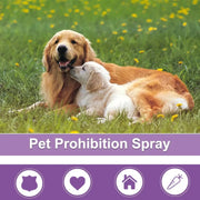 Pet Calming Spray Soothe Mood Puppy Dog wellness