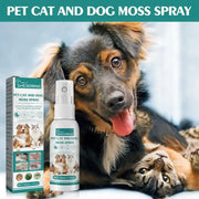 Cat wellness and Dog Skin Problems Pet Moss Spray